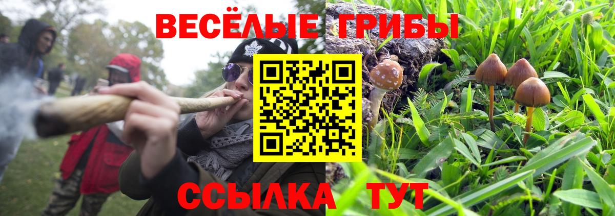 Псилоцибиновые грибы GOLDEN TEACHER  Псилоцибиновые грибы Cubensis  Осинники  Вход с VPN 